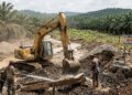 Ilustrasi aktivitas PETI di area konsensi perusahaan perkebunan kelapa sawit. Foto diolah dari Ai