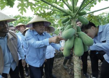 Untuk Penguatan Ekosistem Ekonomi Lokal, MBG BGN Dialog dengan Gapoktan dan Petani Hortikultura di Kabupaten Kubu Raya