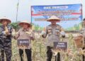 Sekda Kabupaten Ketapang, Repalianto, melakukan Panen Raya Jagung Serentak Kuartal II, Sabtu, 16 Mei 2026. Foto: Prokopim for Jurnalis.co.id