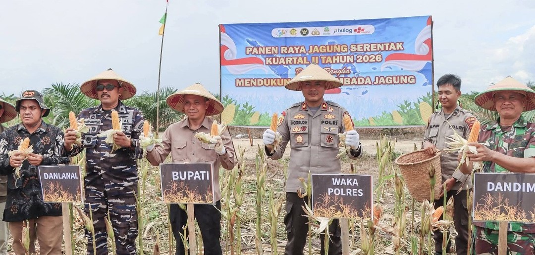 Sekda Ketapang Ikuti Panen Raya Jagung Nasional, Dukung Swasembada Pangan