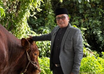 Sujiwo melihat hewan kurban bantuan dari Presiden Prabowo, Rabu, 27 Mei 2026. Foto: Syamsul Arifin/Jurnalis.co.id
