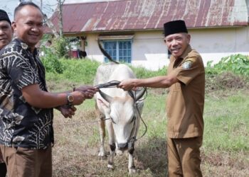 Wakil Bupati Ketapang, Jamhuri Amir, menyerahkan satu hewan kurban ke pengurus Musola Al-Azhar, Senin, 25 Mei 2026. Foto Prokopim for Jurnalis.co.id