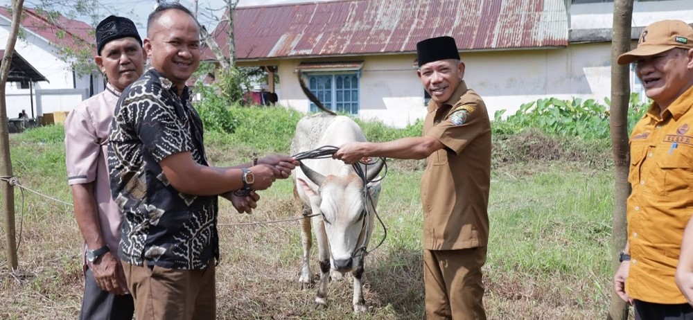Wakil Bupati Ketapang, Jamhuri Amir, menyerahkan satu hewan kurban ke pengurus Musola Al-Azhar, Senin, 25 Mei 2026. Foto Prokopim for Jurnalis.co.id