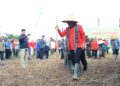 Wagub Kalbar Targetkan Bengkayang jadi Penghasil Jagung Nomor Satu di Indonesia