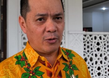 Bupati Kayong Utara, Romi Wijaya