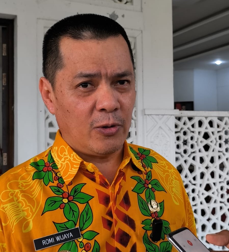 Bupati Kayong Utara, Romi Wijaya