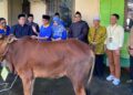 Wakil Bupati Sukiryanto, melihat langsung proses pemotongan hewan kurban dari Kemenag Kubu Raya, Jumat, 29 Mei 2026. Foto Syamsul Arifin