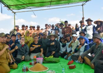 Bupati Kubu Raya Sujiwo menghadiri panen raya Poktan Tunas Harapan Satu di lahan Parit Ngabeh, Jalan Angkasa Pura II, Desa Arang Limbung, Kecamatan Sungai Raya, Selasa (14/7/2026).