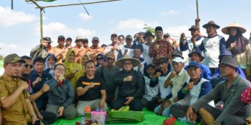 Bupati Kubu Raya Sujiwo menghadiri panen raya Poktan Tunas Harapan Satu di lahan Parit Ngabeh, Jalan Angkasa Pura II, Desa Arang Limbung, Kecamatan Sungai Raya, Selasa (14/7/2026).