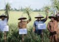 Wabup Jamhuri saat mengikuti panen padi di Desa Sungai Awan Kanan. Foto: Prokopim.