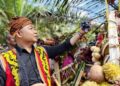 Bupati Ketapang, Alexander Wilyo saat mengikuti prosesi adat Menjangkap Buah. Foto: Prokopim.