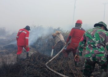 Petugas lapangan dari Manggala Agni dan TNI sedang berjibaku memadamkan api. Foto: Ist.