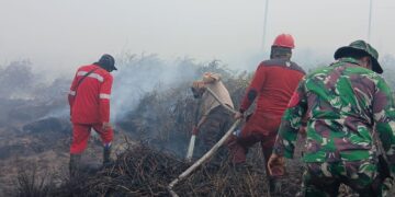 Petugas lapangan dari Manggala Agni dan TNI sedang berjibaku memadamkan api. Foto: Ist.