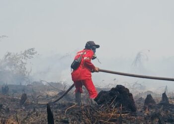 Salah satu petugas lapangam dari Manggala Agni sedang melakukan pemadaman api. Foto: Ist.