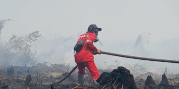 Salah satu petugas lapangam dari Manggala Agni sedang melakukan pemadaman api. Foto: Ist.