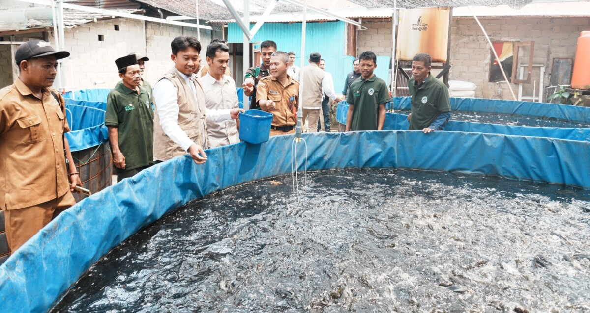 Budidaya ikan air tawar di kolam Bioflok di Desa Durian, Kecamatan Sungai Ambawang sukses panen 200 kilogram lele.