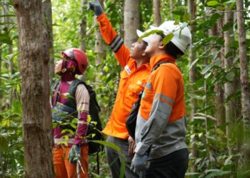 Tim UPT Palangkaraya melakukan pengecekan vegetasi di sekitar jalur transmisi Buntok - Muara Teweh sebagai aksi Grebek ROW, demi mencegah potensi gangguan akibat pohon.