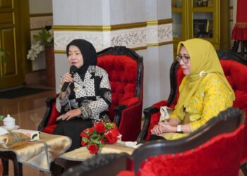 Gabungan Organisasi Wanita (GOW) saat melakukan audency ke Wabup Malang