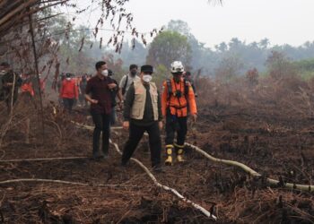 Karhutla Kalbar Terus Ditekan, Gubernur Norsan dan Kepala BNPB Pantau Langsung Pemadaman di Rasau Jaya